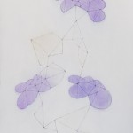 花による表現/w80.7 x h100.4 cm/アクリル絵の具、MDFボード/2008年
